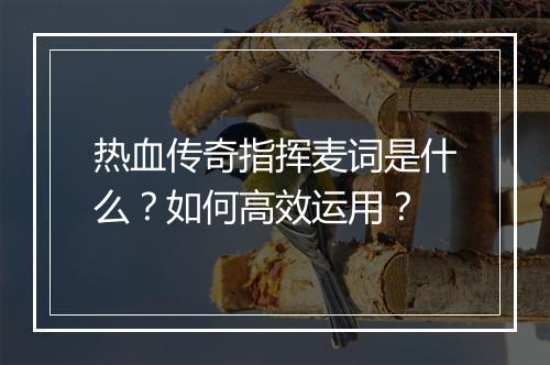 热血传奇指挥麦词是什么？如何高效运用？