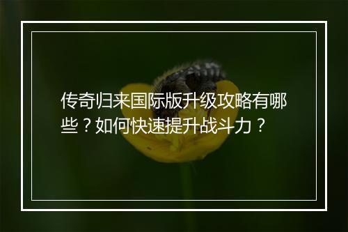 传奇归来国际版升级攻略有哪些？如何快速提升战斗力？