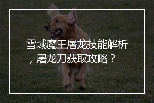 雪域魔王屠龙技能解析，屠龙刀获取攻略？