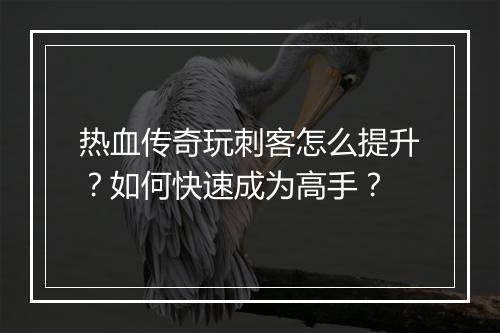 热血传奇玩刺客怎么提升？如何快速成为高手？