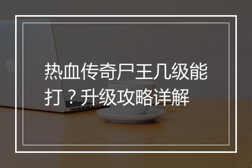 热血传奇尸王几级能打？升级攻略详解