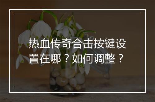 热血传奇合击按键设置在哪？如何调整？