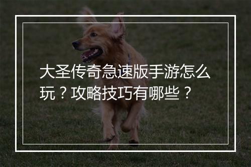 大圣传奇急速版手游怎么玩？攻略技巧有哪些？
