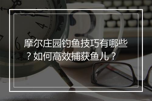 摩尔庄园钓鱼技巧有哪些？如何高效捕获鱼儿？