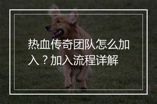 热血传奇团队怎么加入？加入流程详解