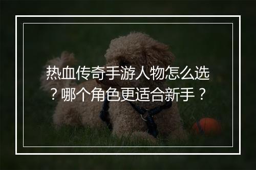 热血传奇手游人物怎么选？哪个角色更适合新手？
