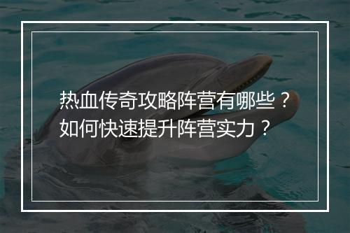 热血传奇攻略阵营有哪些？如何快速提升阵营实力？