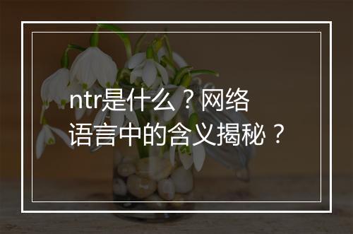 ntr是什么？网络语言中的含义揭秘？