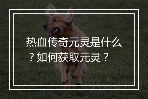 热血传奇元灵是什么？如何获取元灵？
