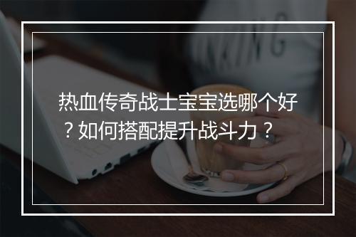 热血传奇战士宝宝选哪个好？如何搭配提升战斗力？