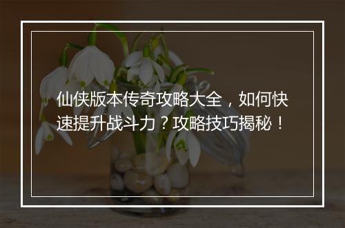仙侠版本传奇攻略大全，如何快速提升战斗力？攻略技巧揭秘！