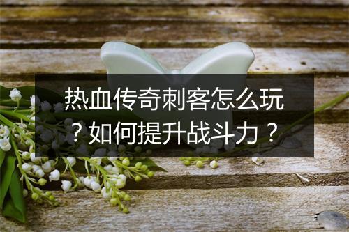 热血传奇刺客怎么玩？如何提升战斗力？