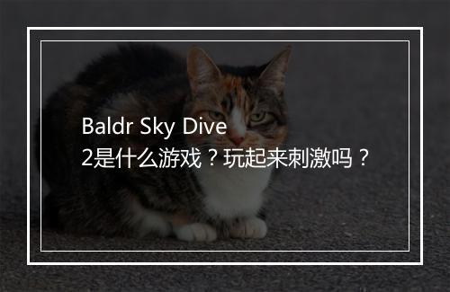 Baldr Sky Dive2是什么游戏？玩起来刺激吗？