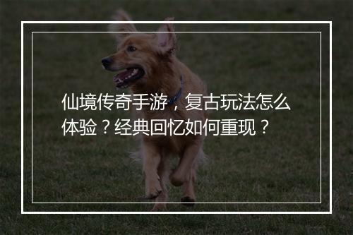 仙境传奇手游，复古玩法怎么体验？经典回忆如何重现？