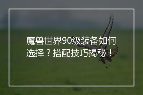 魔兽世界90级装备如何选择？搭配技巧揭秘！