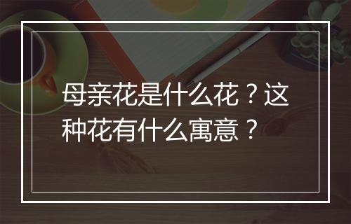 母亲花是什么花？这种花有什么寓意？