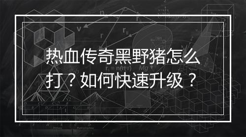 热血传奇黑野猪怎么打？如何快速升级？