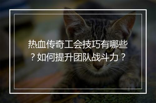 热血传奇工会技巧有哪些？如何提升团队战斗力？