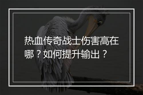 热血传奇战士伤害高在哪？如何提升输出？