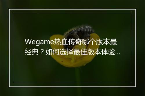 Wegame热血传奇哪个版本最经典？如何选择最佳版本体验？