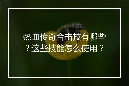 热血传奇合击技有哪些？这些技能怎么使用？