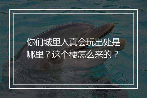 你们城里人真会玩出处是哪里？这个梗怎么来的？