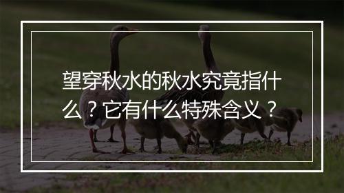 望穿秋水的秋水究竟指什么？它有什么特殊含义？