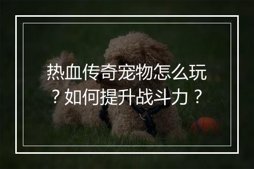 热血传奇宠物怎么玩？如何提升战斗力？