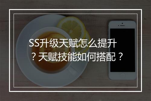 SS升级天赋怎么提升？天赋技能如何搭配？