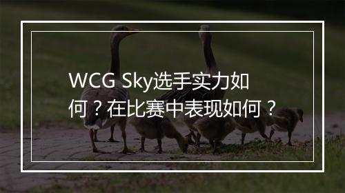 WCG Sky选手实力如何？在比赛中表现如何？
