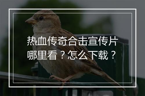 热血传奇合击宣传片哪里看？怎么下载？
