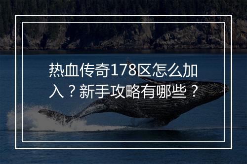 热血传奇178区怎么加入？新手攻略有哪些？