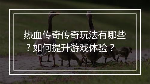 热血传奇传奇玩法有哪些？如何提升游戏体验？