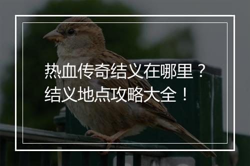 热血传奇结义在哪里？结义地点攻略大全！