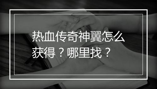热血传奇神翼怎么获得？哪里找？