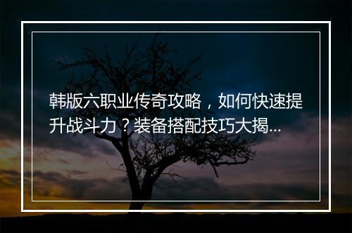 韩版六职业传奇攻略，如何快速提升战斗力？装备搭配技巧大揭秘？