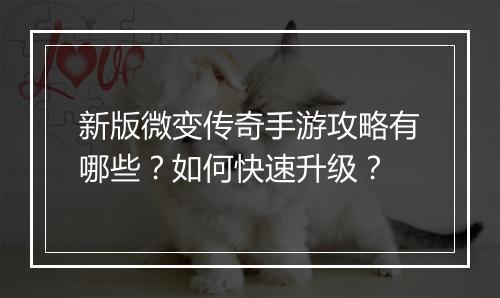 新版微变传奇手游攻略有哪些？如何快速升级？
