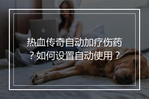 热血传奇自动加疗伤药？如何设置自动使用？
