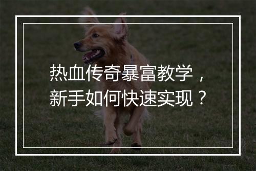 热血传奇暴富教学，新手如何快速实现？