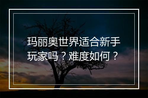 玛丽奥世界适合新手玩家吗？难度如何？