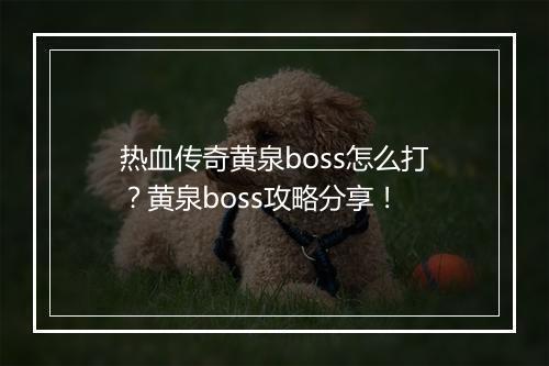 热血传奇黄泉boss怎么打？黄泉boss攻略分享！