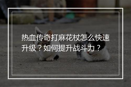 热血传奇打麻花杖怎么快速升级？如何提升战斗力？