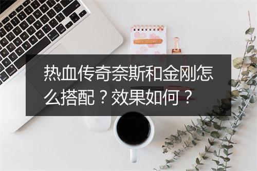 热血传奇奈斯和金刚怎么搭配？效果如何？