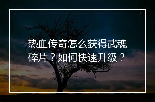 热血传奇怎么获得武魂碎片？如何快速升级？