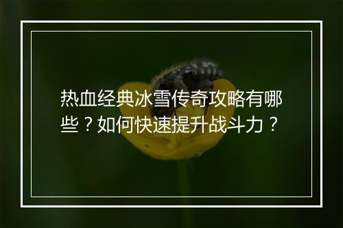 热血经典冰雪传奇攻略有哪些？如何快速提升战斗力？