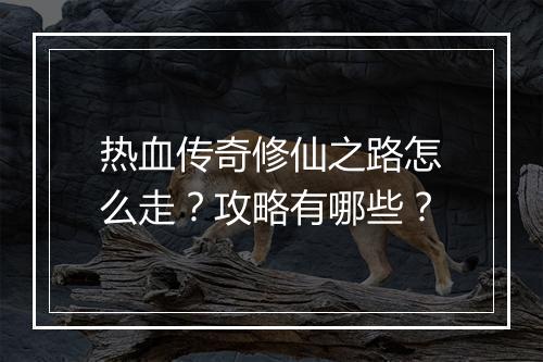 热血传奇修仙之路怎么走？攻略有哪些？