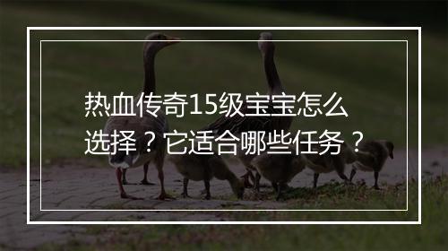 热血传奇15级宝宝怎么选择？它适合哪些任务？