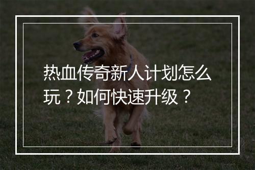 热血传奇新人计划怎么玩？如何快速升级？