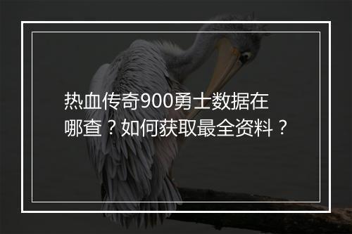 热血传奇900勇士数据在哪查？如何获取最全资料？