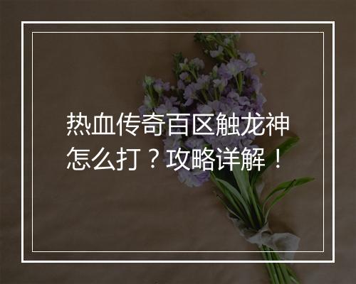 热血传奇百区触龙神怎么打？攻略详解！
